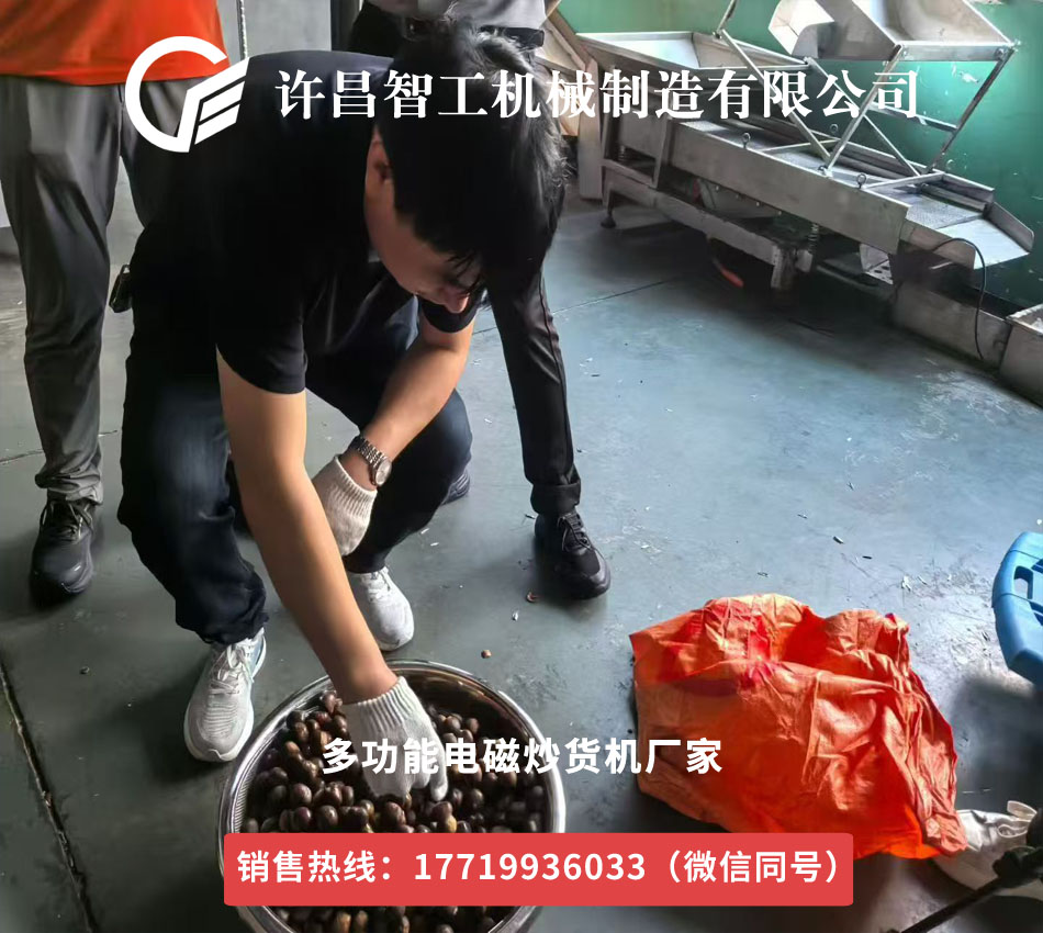 上?？蛻魜韽S試機加工炒制板栗